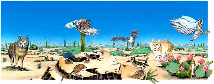 Resultado de imagen para ecosistema con vibora, halcon, antilope