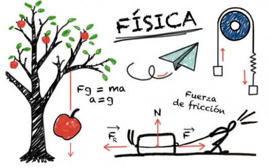 Resultado de imagen para relacion de la ecologia con la fisica