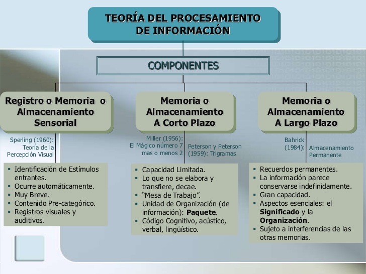 Resultado de imagen para teoria de procesamiento de informacion de robert gagne