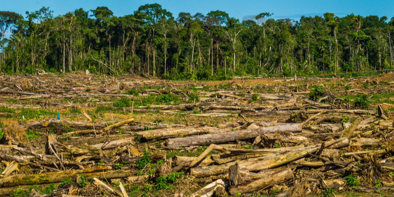 Ecosistemas on emaze