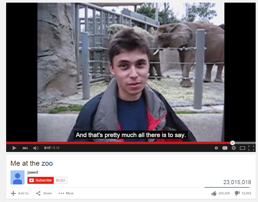 Ютуб первый. Me at the Zoo. Самое первое на ютубе me at the Zoo. Jawed Karim youtube Zoo. Джавед Карим не даёт интервью.