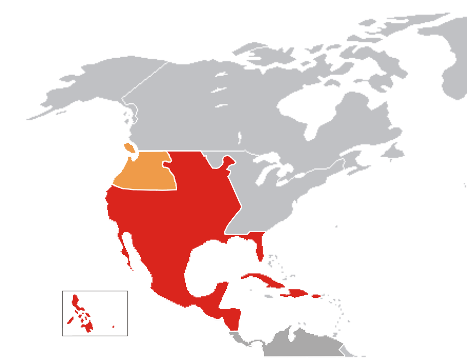 New spain. Новая испанская Империя. Границы испанской империи. Последние колонии Испании. Испанская Империя на карте Северной Америки.