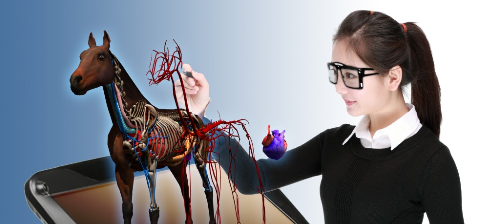 цепочка днк. куб на прозрачном фоне. инсайт 3д. лаборатория вектор обсуждение. Science 3.