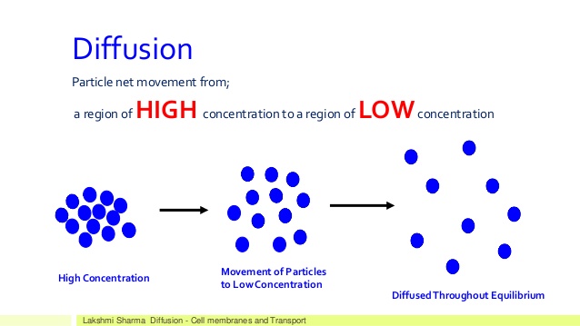 Stable diffusion control net. Diffusion. stable diffusion логотип. unstable diffusion нейросеть. reaction diffusion.