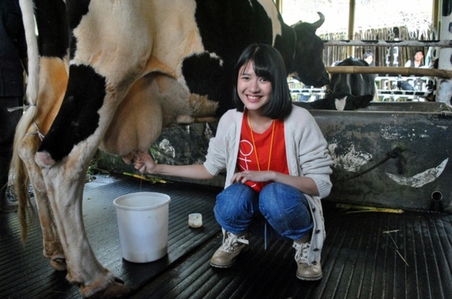 Pengusaha Sapi Potong Sebut Sulit Bersaing dengan Daging Impor