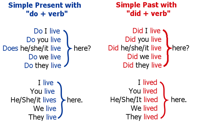 Live past tense. Глагол do в past simple в английском языке. Present simple и past simple образование. Английский present simple do. Паст Симпл do does.