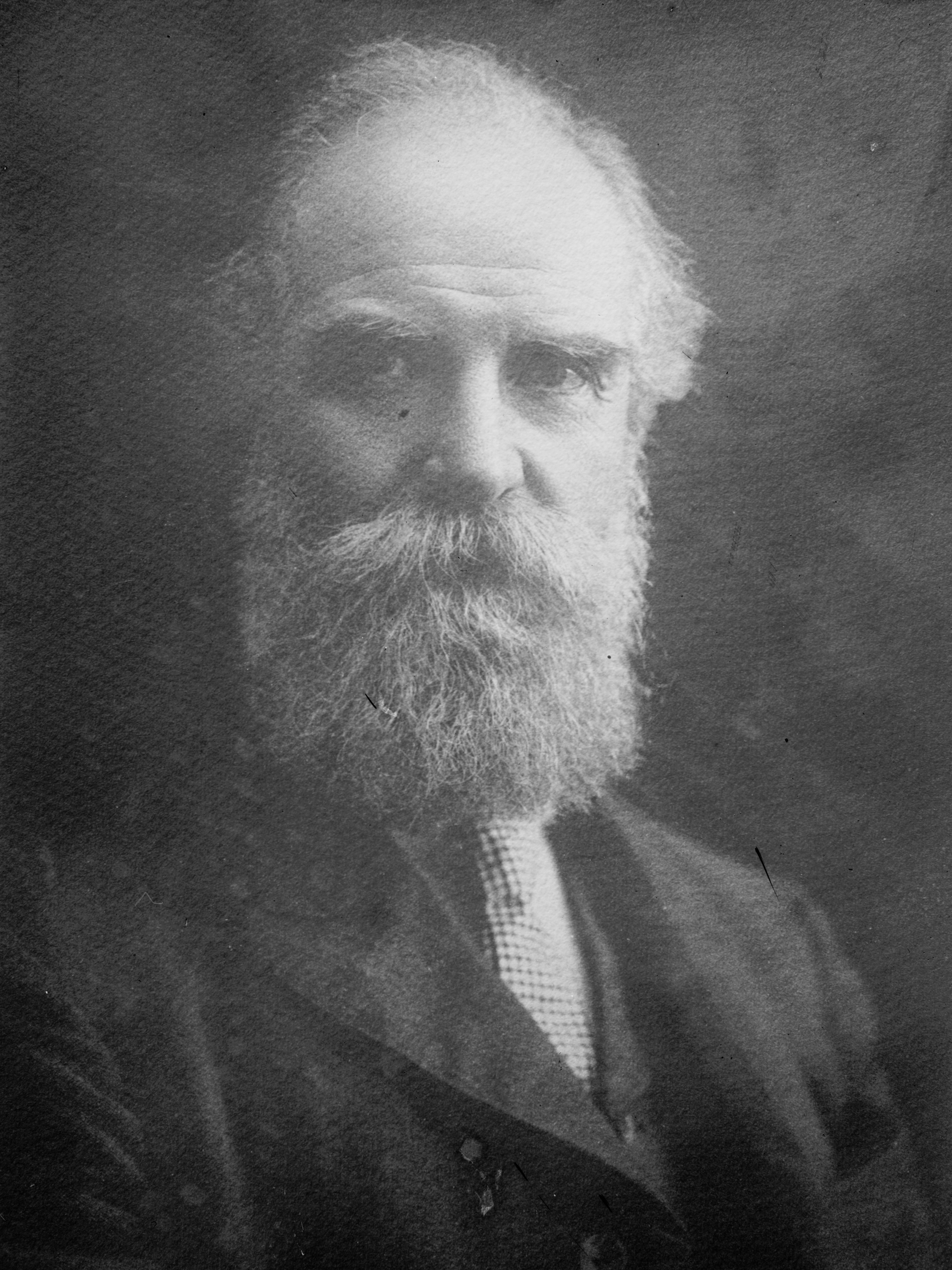 чайковцы 1871 1874 +итоги. н в чайковский. портрет чайковского 1893г. н в чайковский. чайковский дедушка русской революции.