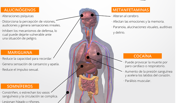 Resultado de imagen de enfermedades por el usio de las drogas