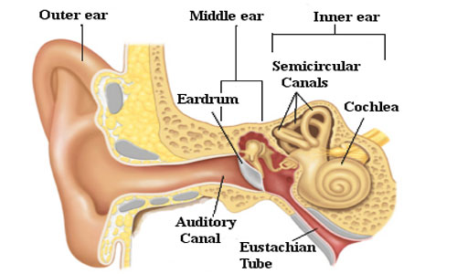 Sense of Sound on emaze