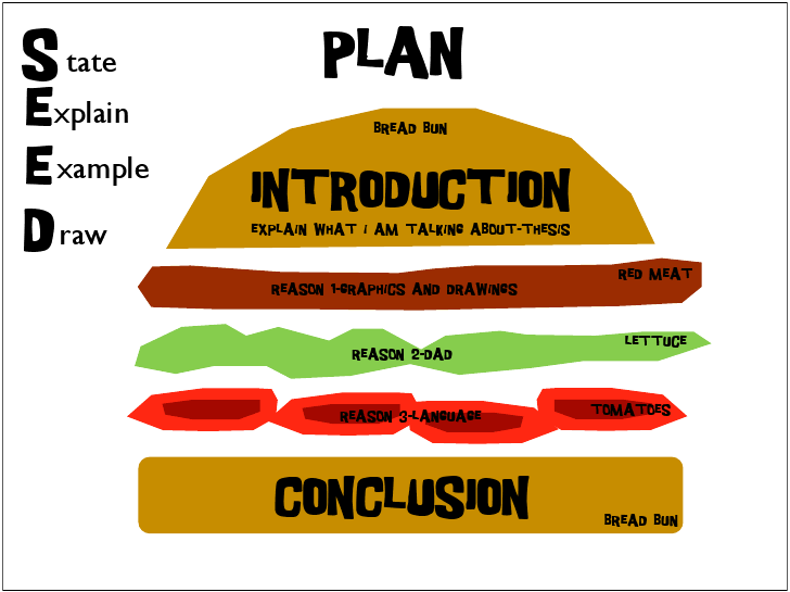 Structure of an essay argument