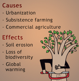 cause and effect of cutting trees