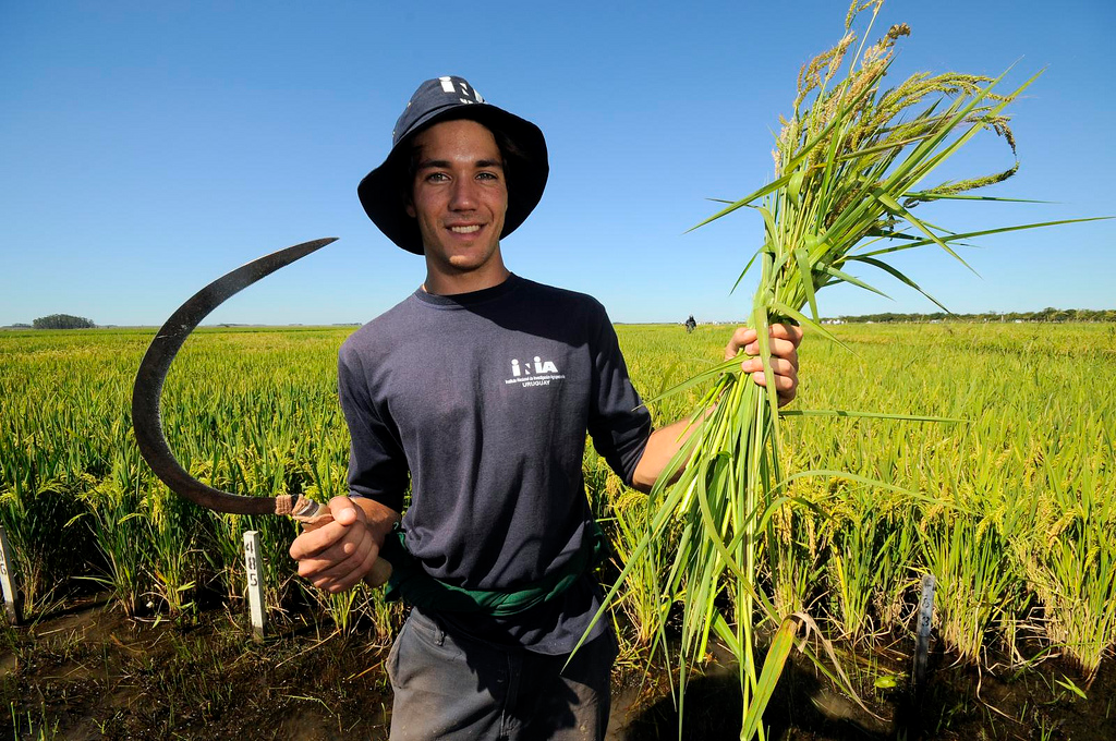 Латиноамериканские фермеры. Сельское хозяйство и спорт. Farmer дилер. Farmer pic.