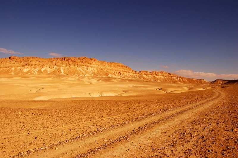 Hot desert. Пустыня Пальмира дорога. Сирия местность Горно-пустынная. Сирийская пустыня. Сирия пустыня.