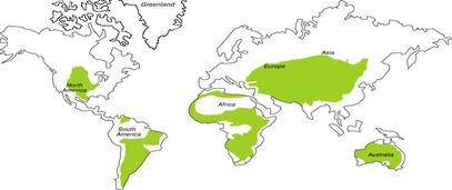 Image result for map of grassland biome