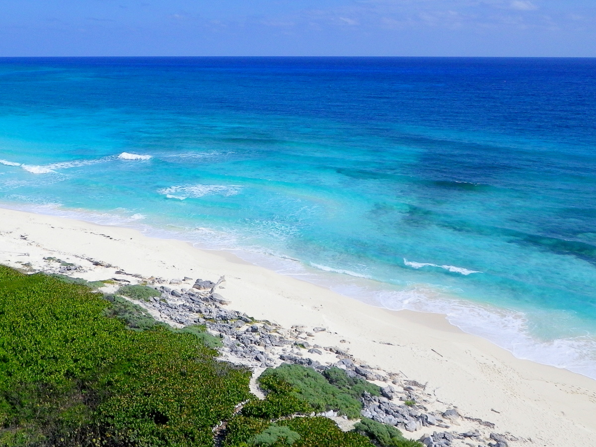 Cozumel Brothels