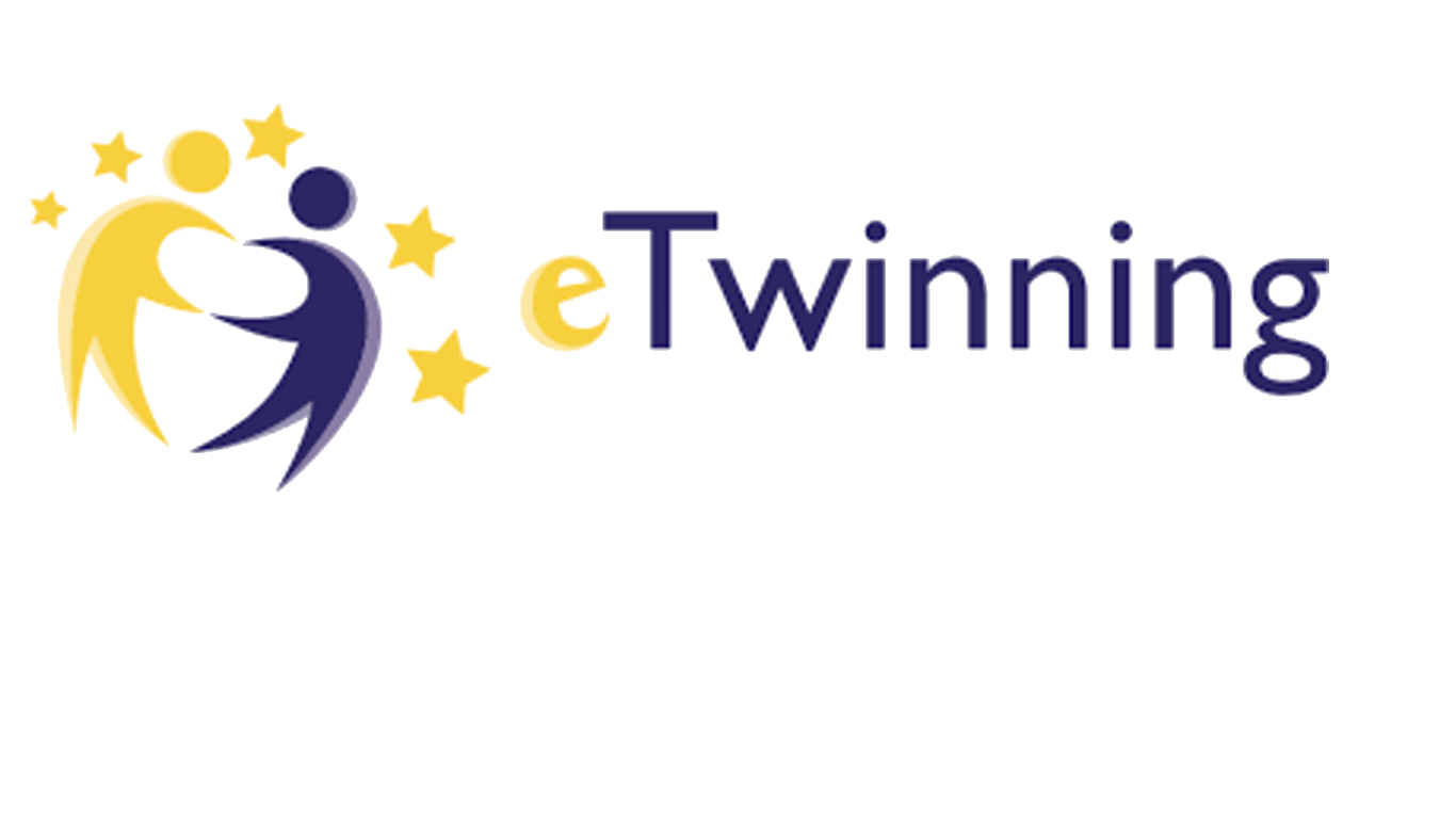 Twinning перевод. Twinning. ETWINNING logo. Twins logo. E Twinning code.