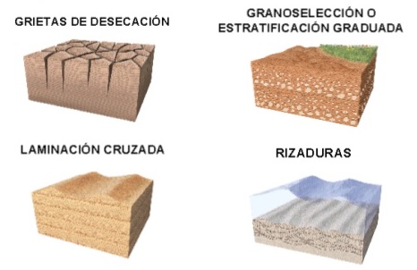 Resultado de imagen de criterios de la polaridad