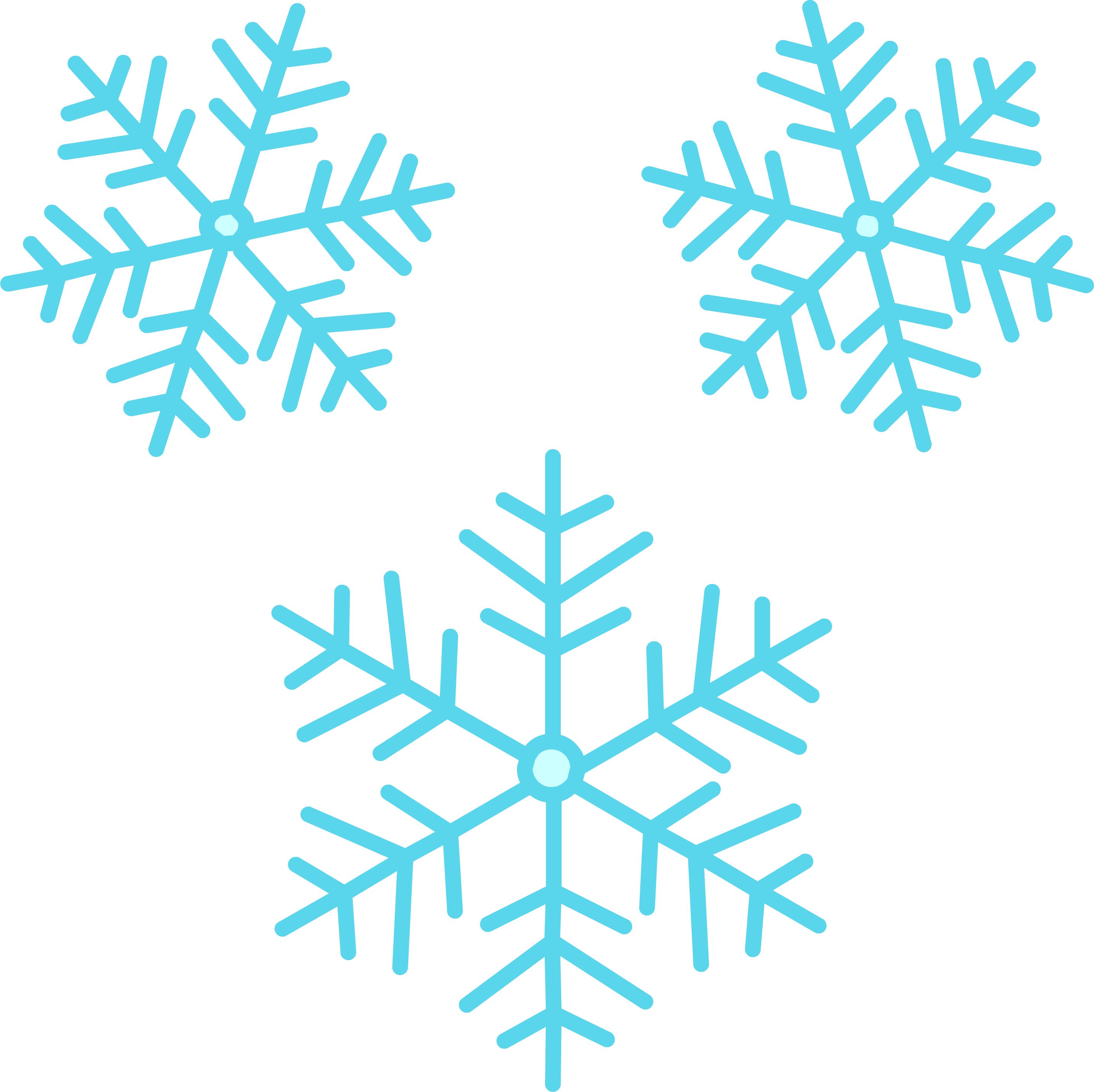 Fun Facts About Snowflakes - And All There Is To Know About