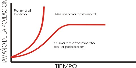 Resultado de imagen de un crecimiento irregular en las poblaciones