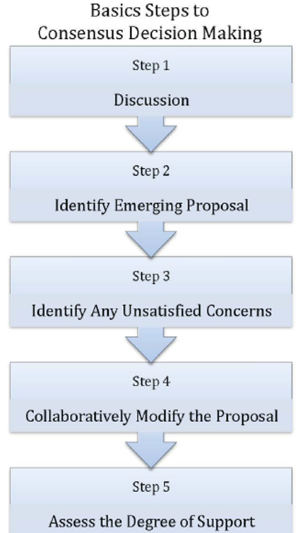 Debate Decide Commit Process at emaze Presentation