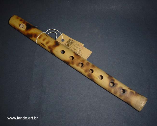 tribo guarani on emaze