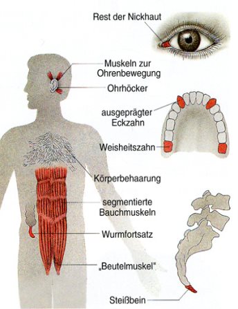 Untitled at emaze Presentation