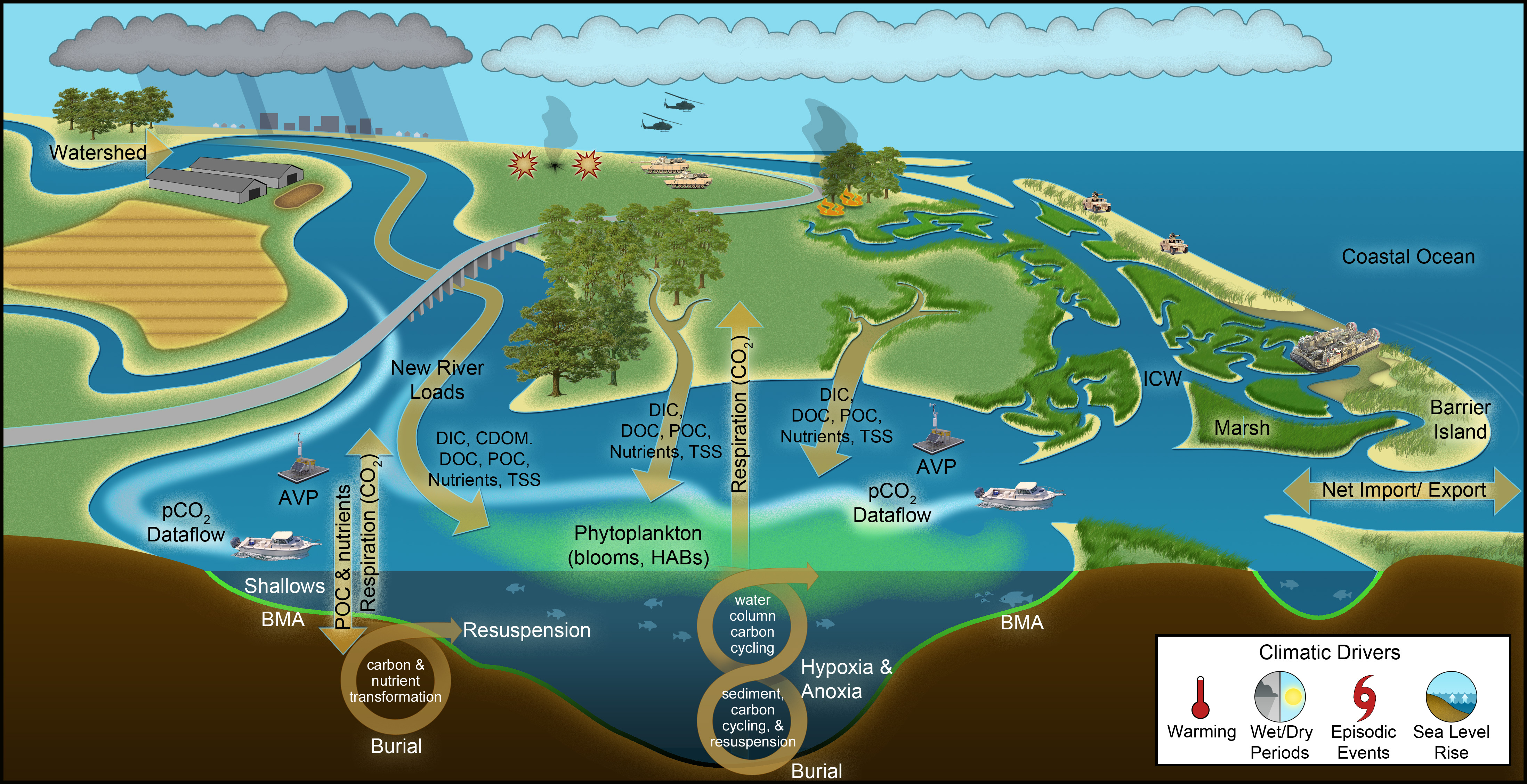 Warming net. Ecosystem. Coastal Water в навигации. River's ecosystem. Aquatic ecosystems.