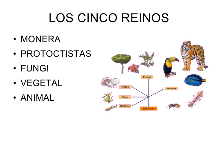 Imagen relacionada