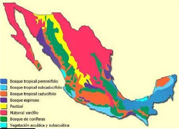 Ecosistemas de Mex at emaze Presentation