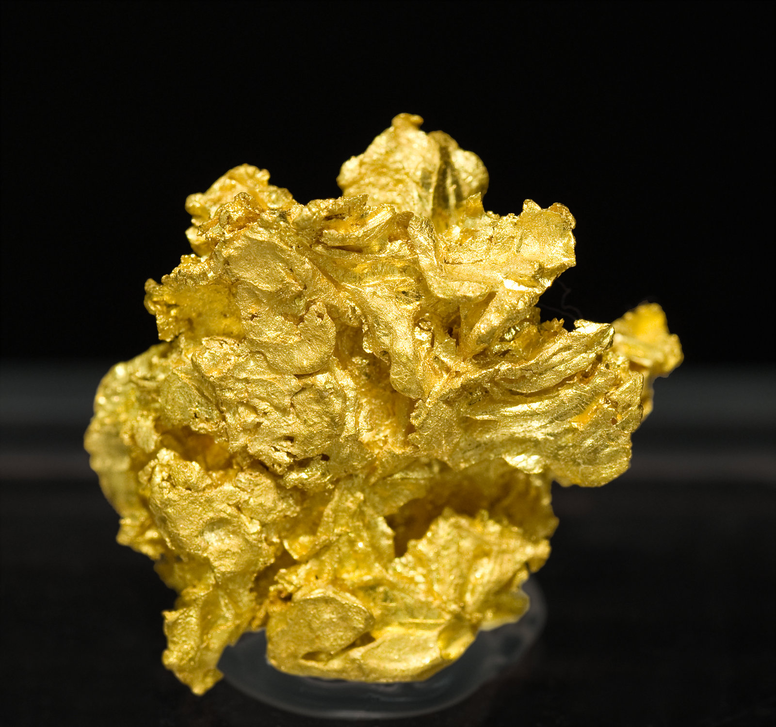 Чем опасен золотистый. Самородное золото минерал. Самородные металлы золото. Золотой Кристалл самородок Кузбасс. Кристаллы золота самородного.