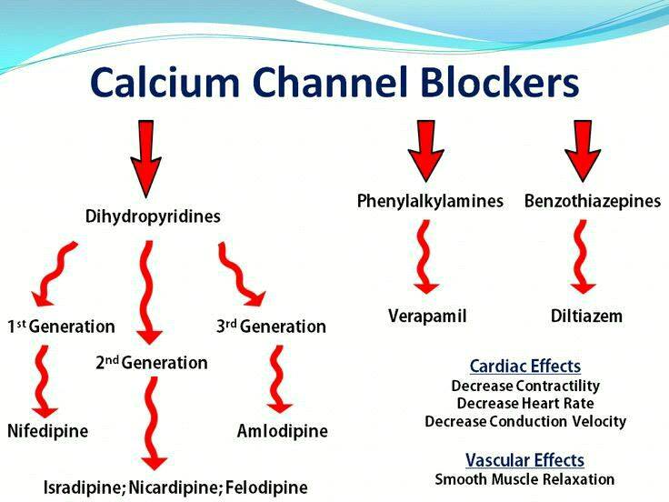 Calcium channel blockers