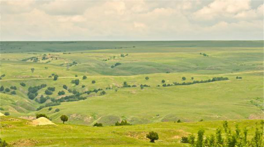 Равнины севера. Великие равнины Северной Америки. Великие американские равнины. Центральные равнины США. Холмистая равнина в Северной Америке.