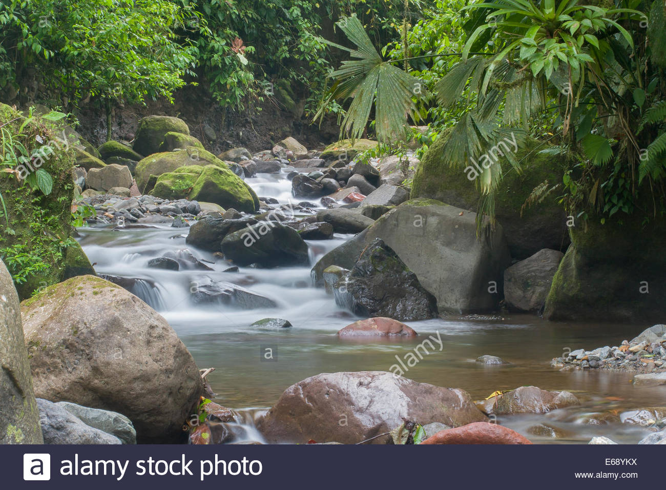 Bosque protector at emaze Presentation