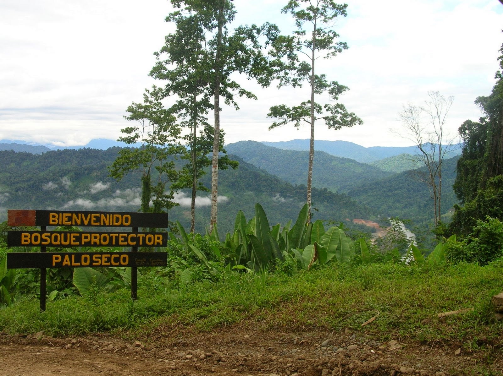 Bosque protector at emaze Presentation