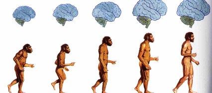 Resultado de imagen para ontogenia humano