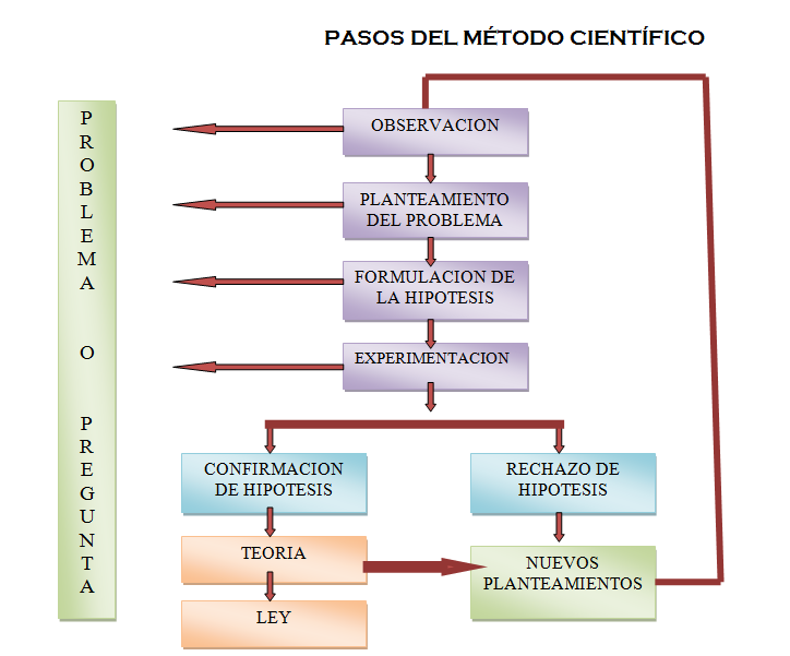 Etapas Del Metodo Cientifico 🧑🏻🎓👩🏻🎓El Método