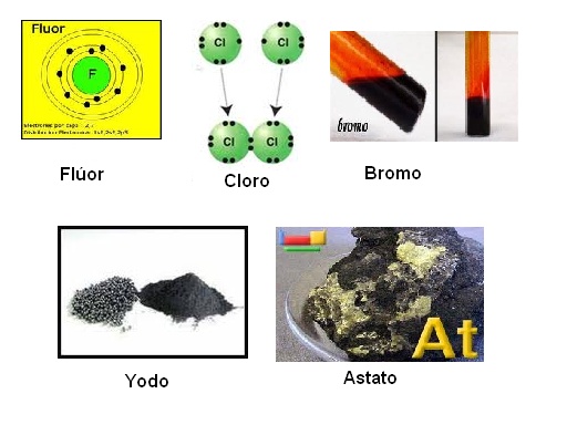 Resultado de imagen para grupo 7a o halogenos