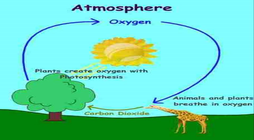 Water Cycle on emaze