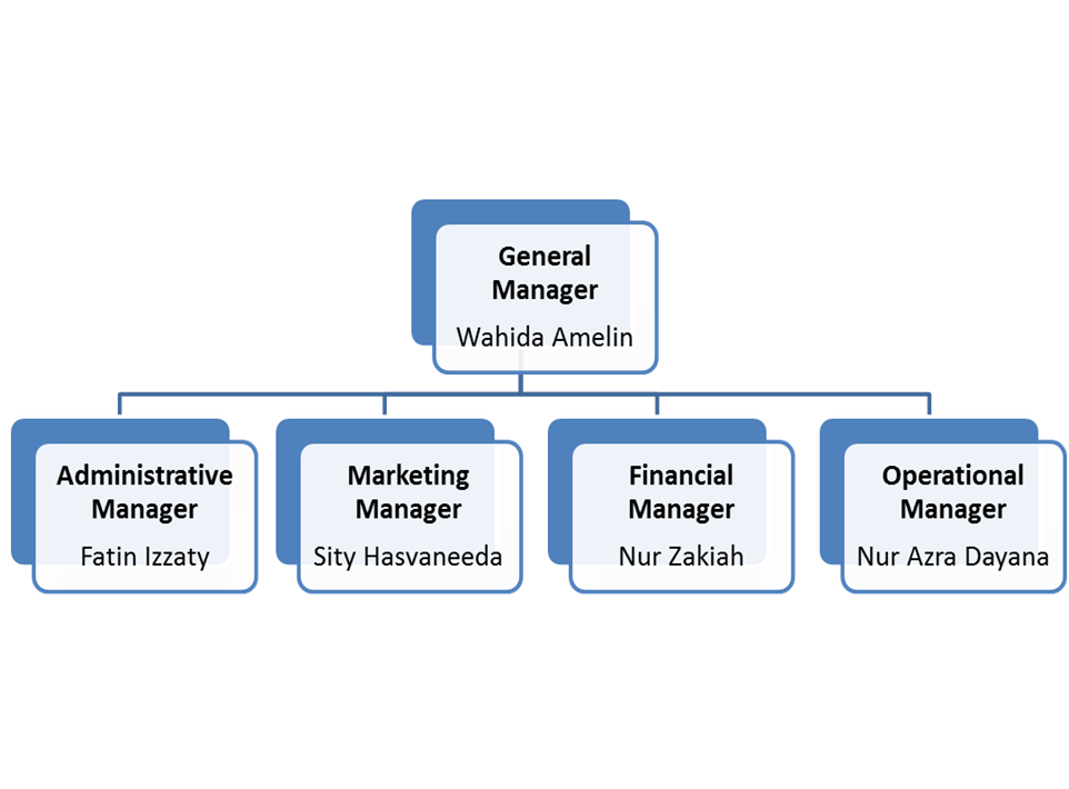 what is management and organization in business plan