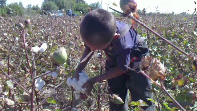 How Long Is A Cotton Picking Minute