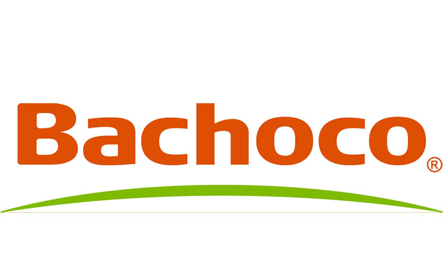 Resultado de imagen para logotipo de bachoco