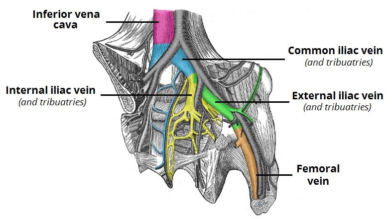 Work on emaze