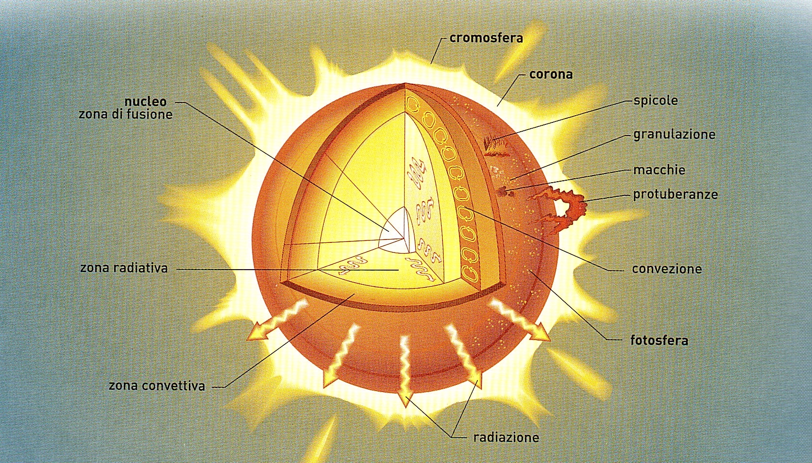 Какое солнце мод. Внутреннее строение солнца схема. Внутреннее строение солнца рисунок. Строение солнца внутреннее и внешнее. Солнце в разрезе.