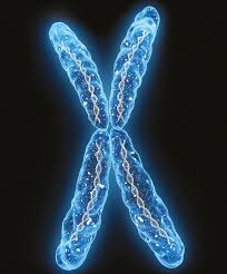 XXY Syndrome at emaze Presentation
