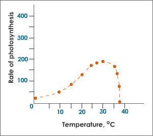 effect of temperature on in one effect of temperature on in one