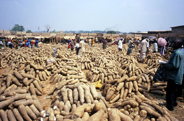 yam-festival