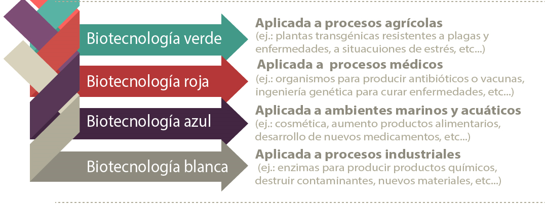 Resultado de imagen para tipos de biotecnologia