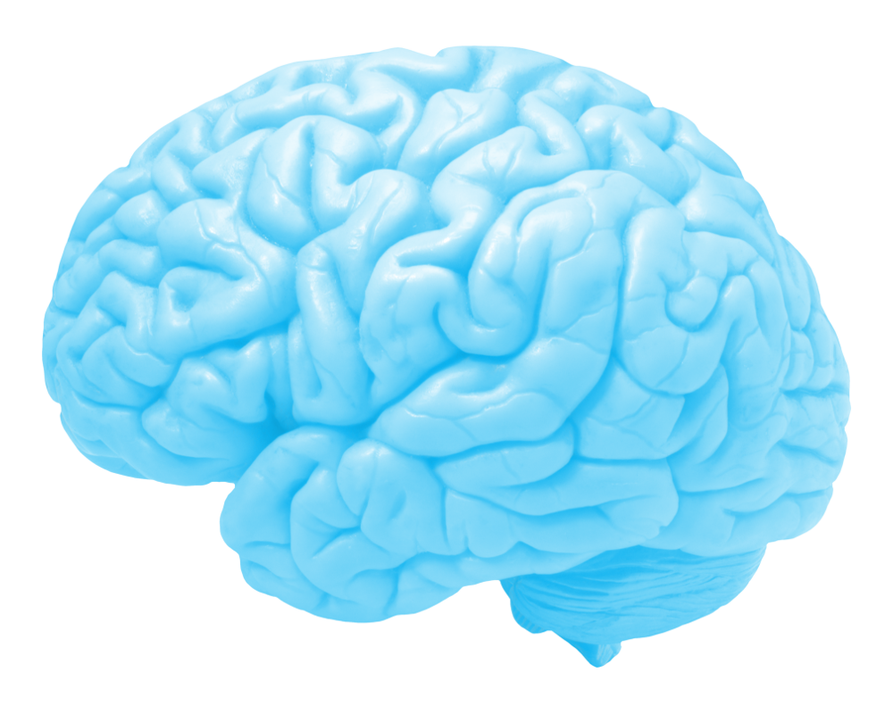 Brain effect. Разноцветный мозг. Мозг картинка.