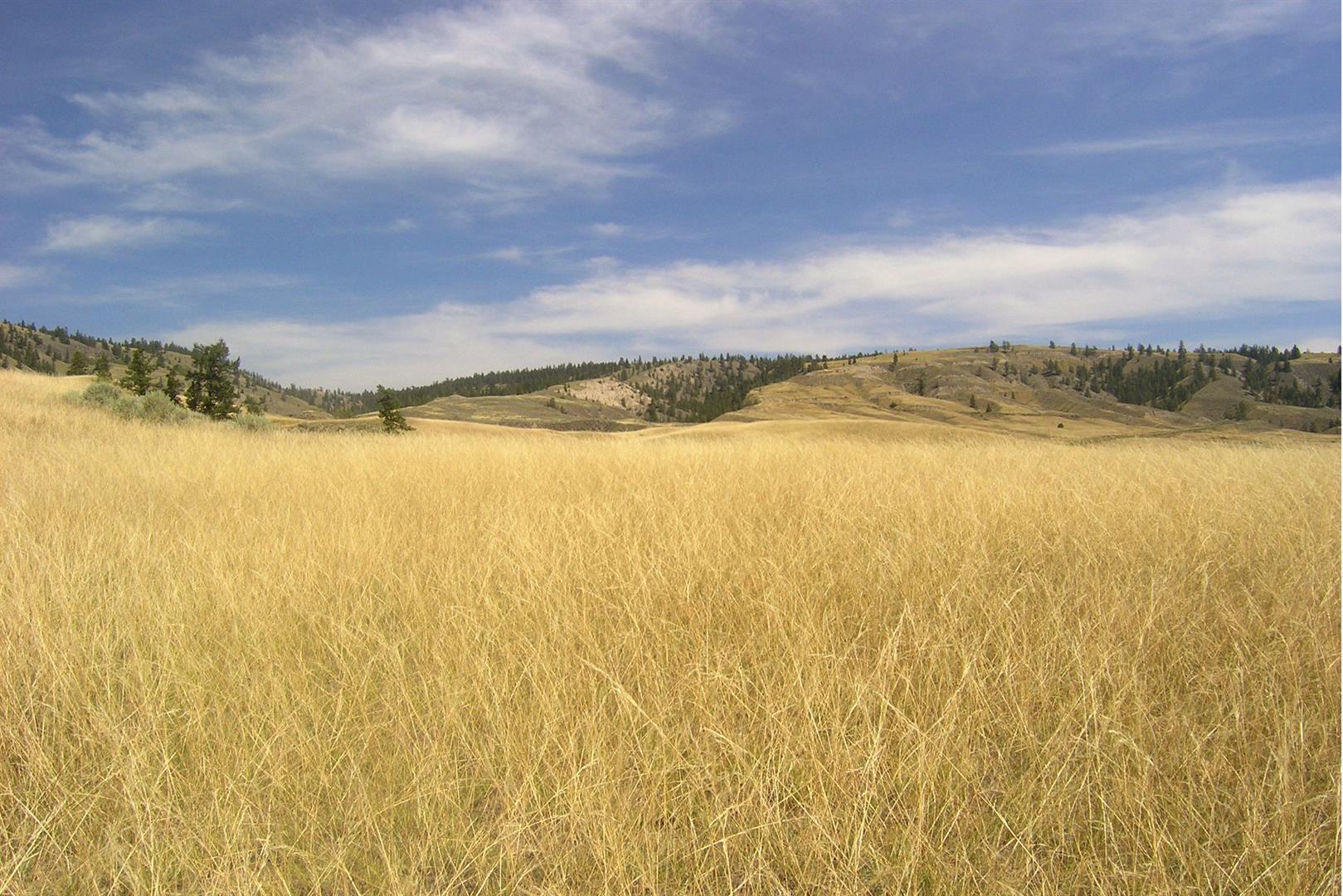 Vegetation Zones on emaze