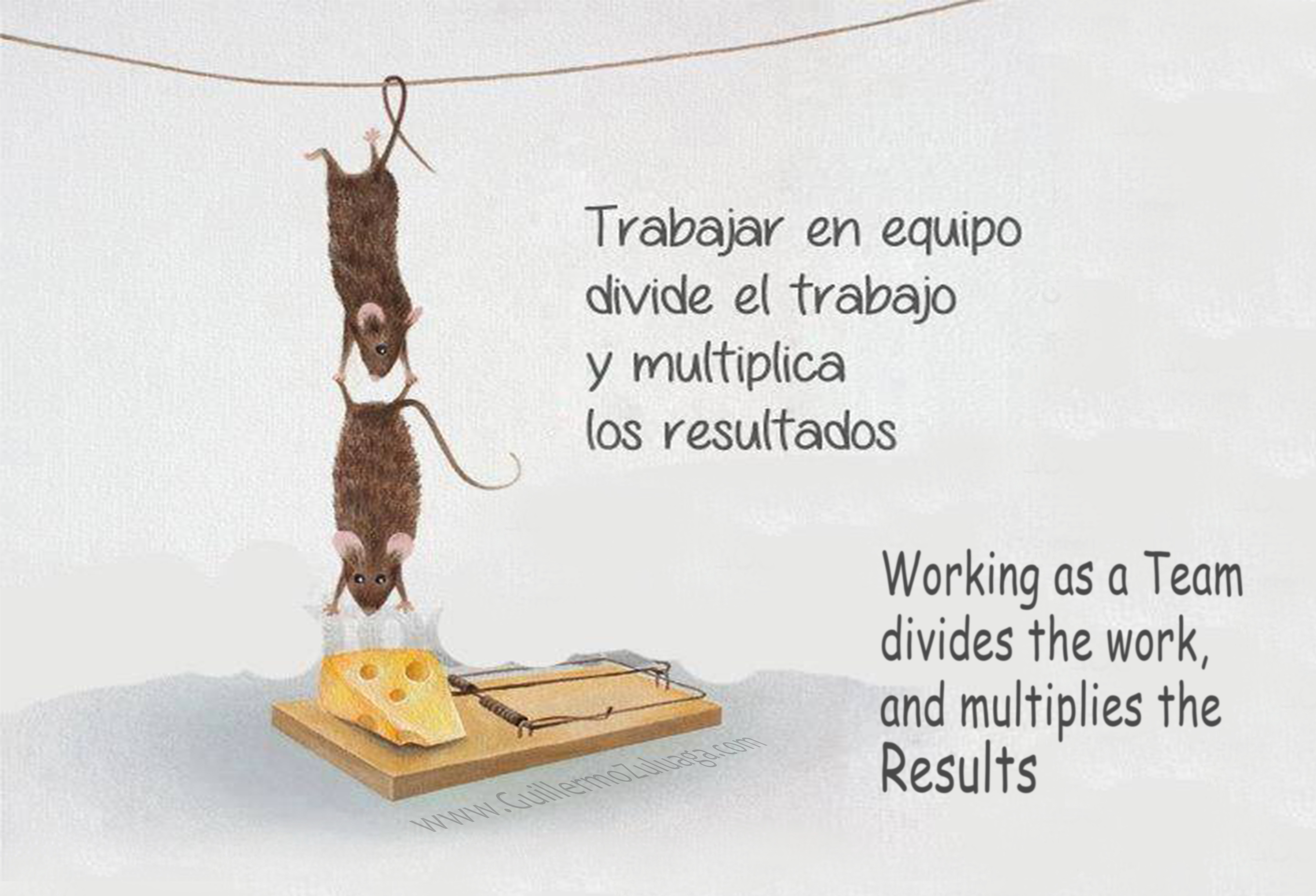 Frase trabajo en equipo motivacion